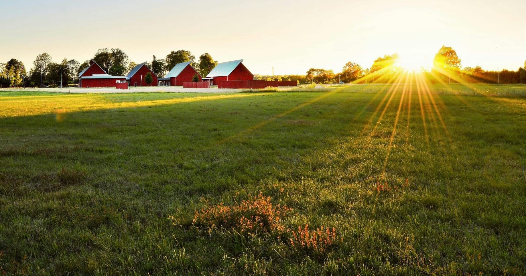 Living Roots Farmstead | A Future Full of Hope